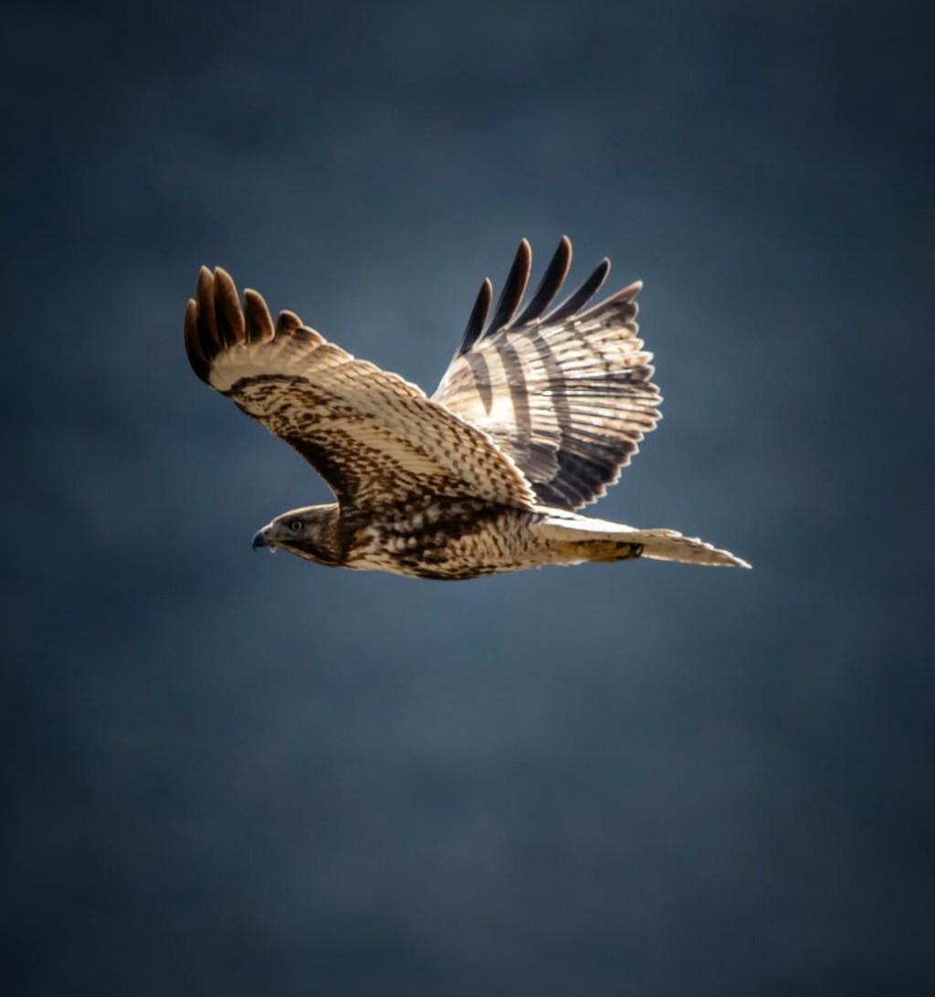 Uparichara Vasu and birth of Satyavati and her twin brother Matsya from a&nbsp;fish